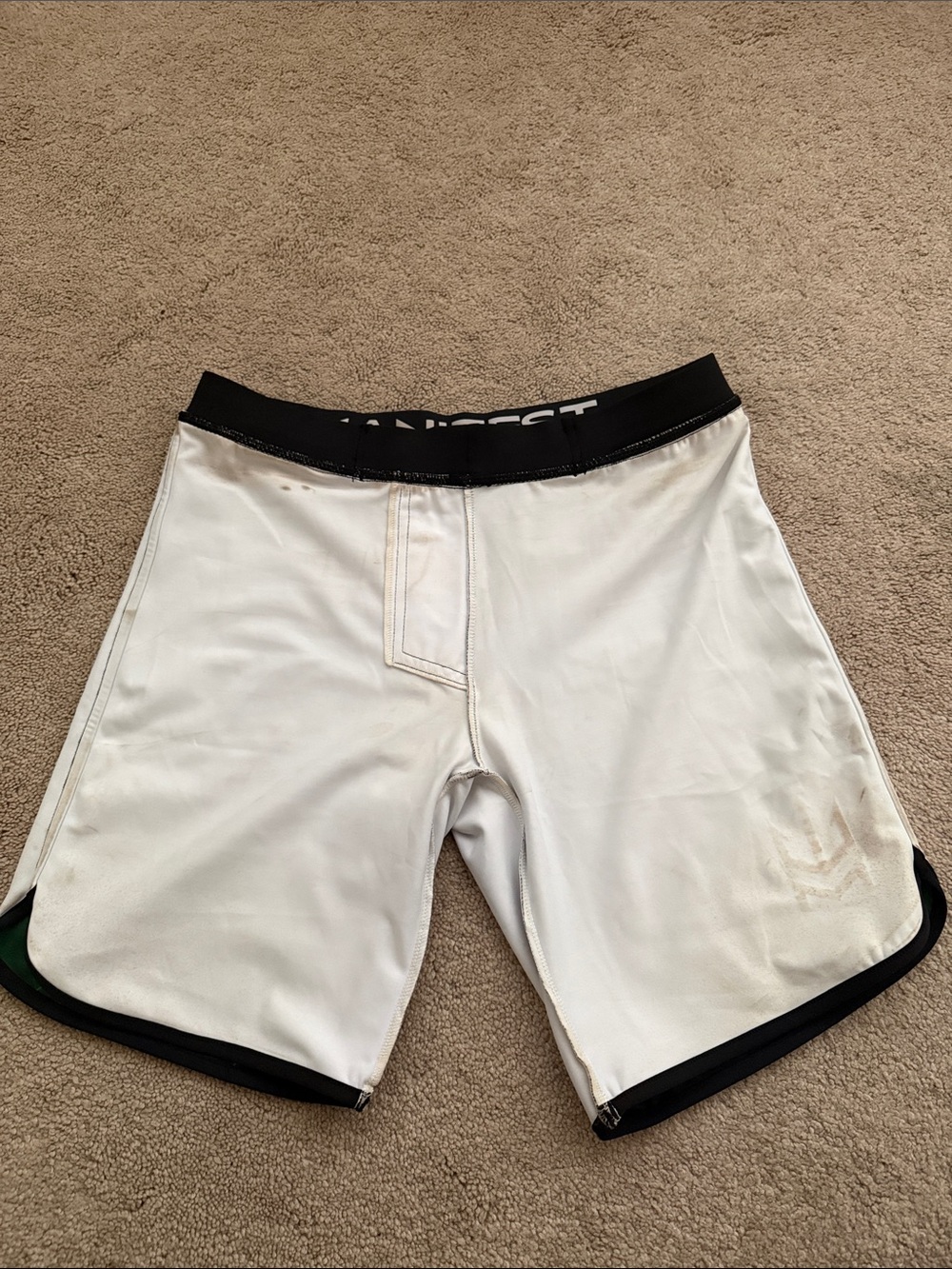 MANIFEST BOARD SHORTS - Picture 3 of 5